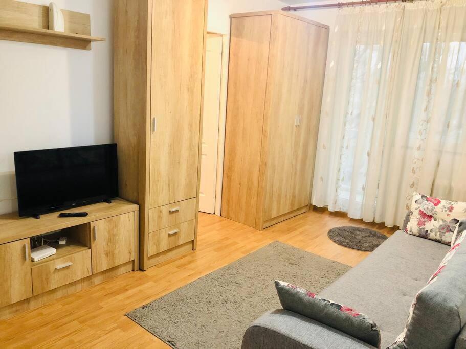 Nice Apt Near Spitalul Judetean, All You Need Lr14 Temeşvar Dış mekan fotoğraf