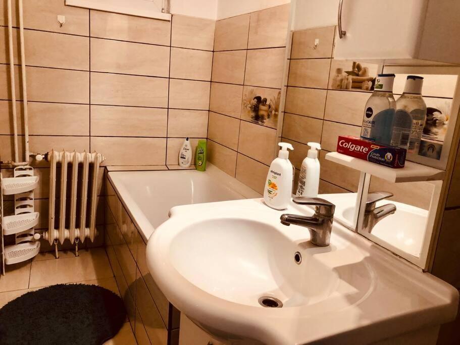 Nice Apt Near Spitalul Judetean, All You Need Lr14 Temeşvar Dış mekan fotoğraf