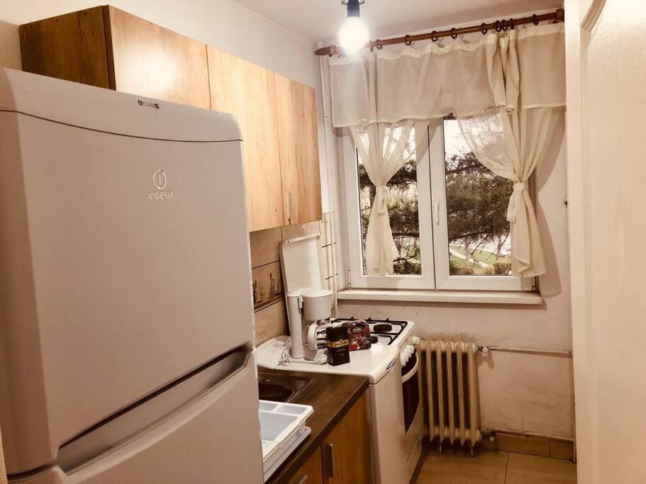 Nice Apt Near Spitalul Judetean, All You Need Lr14 Temeşvar Dış mekan fotoğraf